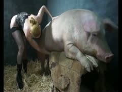 Fuck Girl Pig
